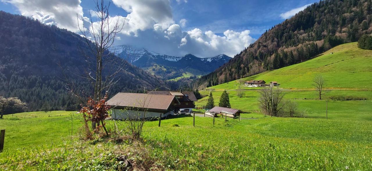FeWo Allgäuzeit mit WLAN in Oberstaufen Steibis Exterior foto