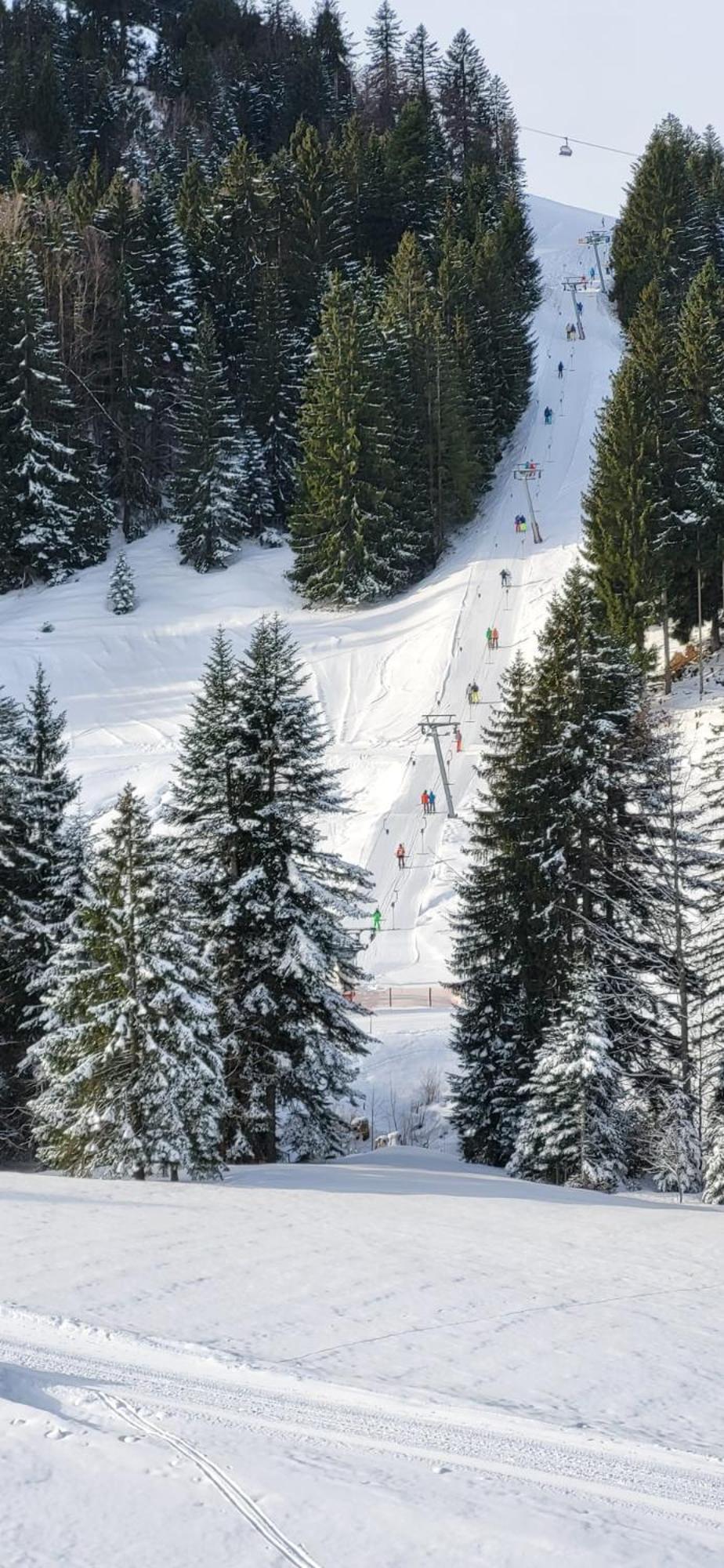 FeWo Allgäuzeit mit WLAN in Oberstaufen Steibis Exterior foto